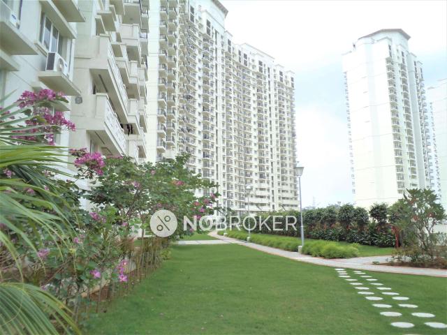4 BHK Flat In Dlf New Town Heights ii For Sale In Sector 91
