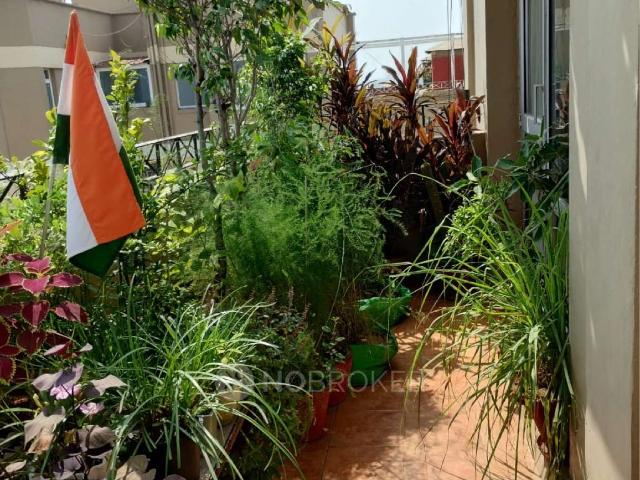 4+ BHK Flat In Dlf Silver Oaks Apartments For Sale In Secto