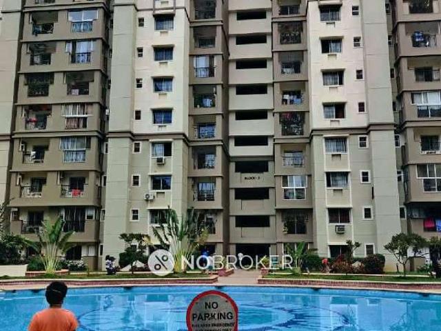 4+ BHK Flat In Sobha Jasmine for Rent In Sarjapur Road