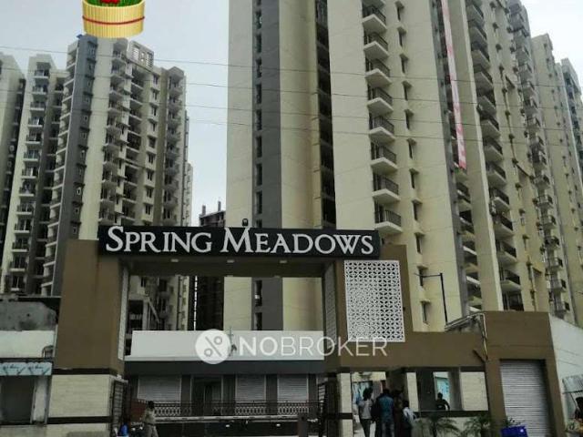 4 BHK Flat In Spring Meadows for Rent In Patwari