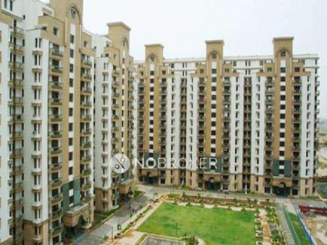 4 BHK Flat In Wembley Estate for Rent In Sector 49 Gurgaon