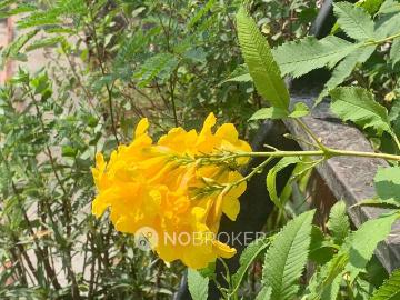 4+ BHK House For Sale In Ardee City
