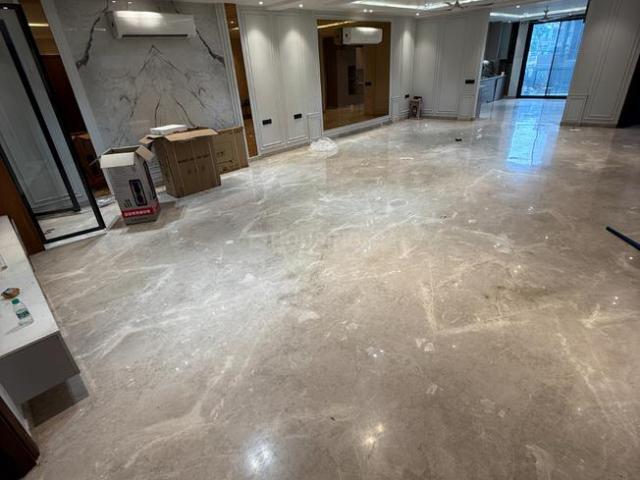 4 BHK Independent Builder Floor in Pitampura for rent New Delhi. The reference number is 20838005