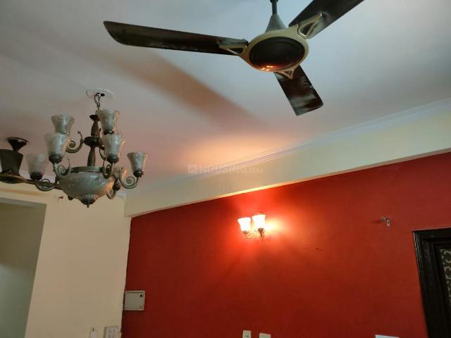 4 BHK Independent Builder Floor in Sector 49 for rent Faridabad. The reference number is 13548032