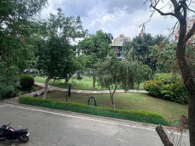 4 BHK Independent Builder Floor in Sector 50 for rent Gurgaon. The reference number is 20648731