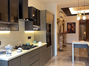 4 BHK Independent Builder Floor in Sector 52 for resale Gurgaon. The reference number is 19190835