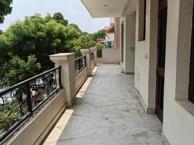 4 BHK Independent Builder Floor in Sector 21 for rent Chandigarh. The reference number is 5280043