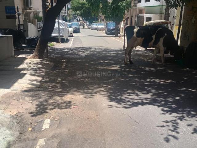 4 BHK Independent House in Banashankari for resale Bengaluru. The reference number is 21067877