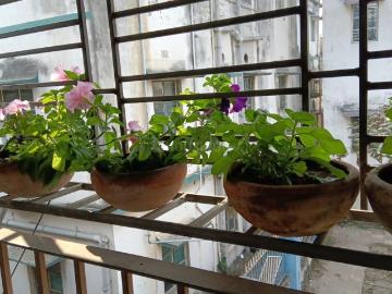 4 BHK Independent House in Birati for resale Kolkata. The reference number is 19190013
