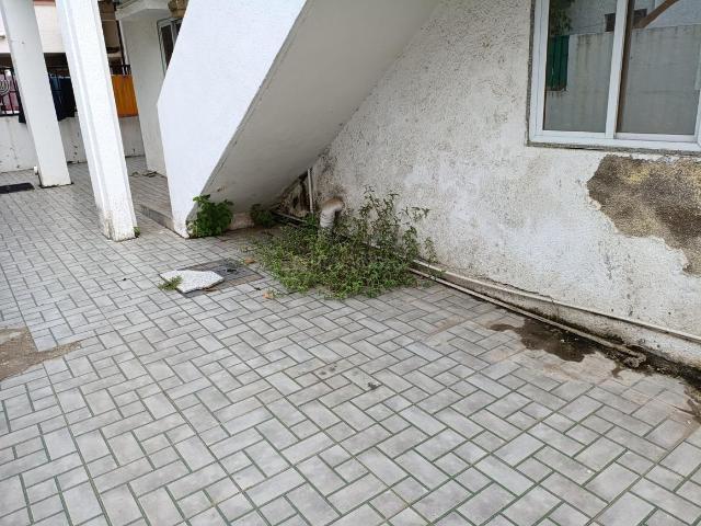 4 BHK Independent House in Gotri for resale Vadodara. The reference number is 19460549