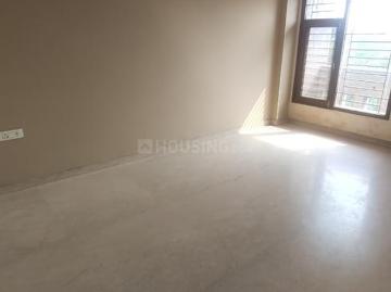 Derawal Nagar, New Delhi, Delhi - Garden