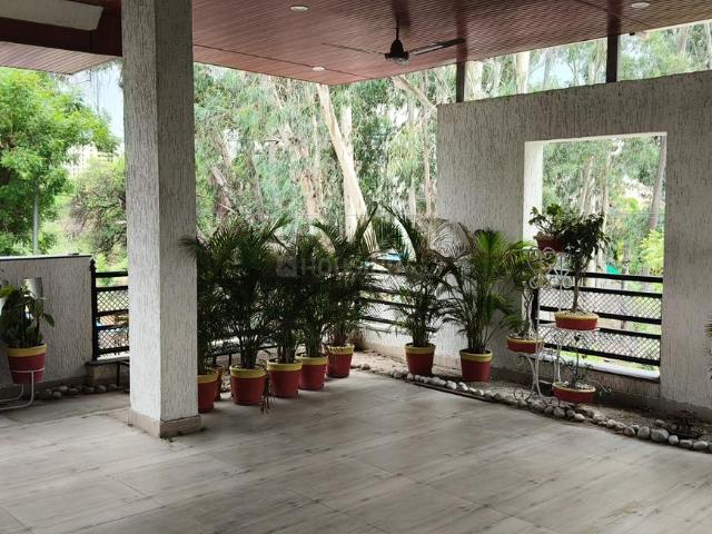 4 BHK Independent House in Hoshangabad Road for rent Bhopal. The reference number is 20490950