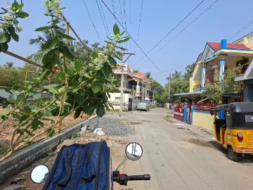 4 BHK Independent House in Karumandapam for resale Tiruchirappalli. The reference number is 19636810
