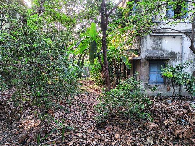 4 BHK Independent House in Nimta for resale Kolkata. The reference number is 17125540