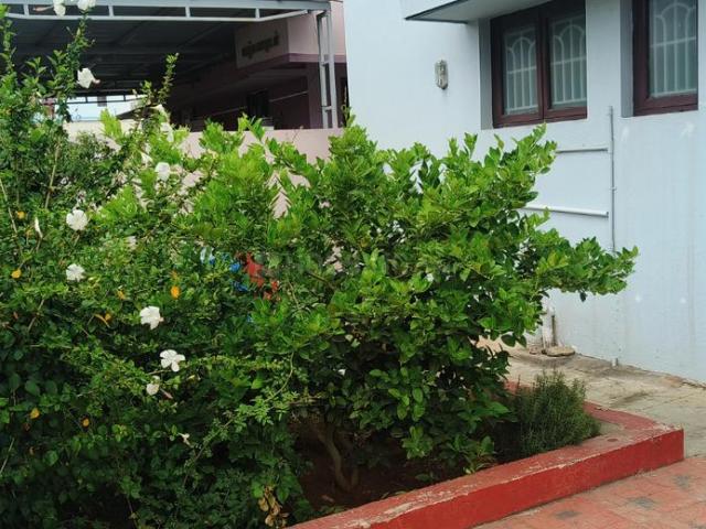 4 BHK Independent House in Pannimadai for rent Coimbatore. The reference number is 20588228