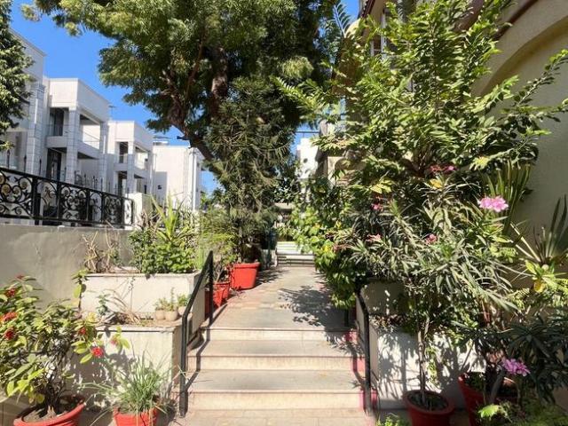 4 BHK Independent House in Paldi for resale Ahmedabad. The reference number is 19768964