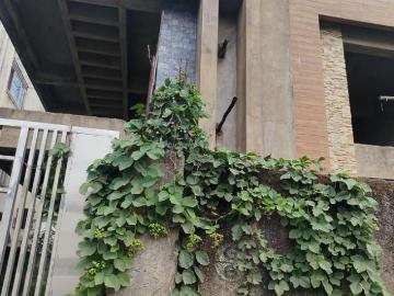 Raipur Village, XU III, Dabra Gautam Buddha Nagar, Gautam Buddha Nagar District, Delhi