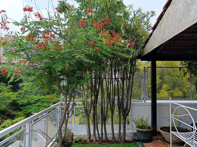 4 BHK Penthouse in C V Raman Nagar for rent Bengaluru. The reference number is 20595919