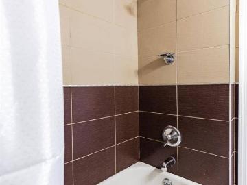 Flatbush, New York city, New York, USA