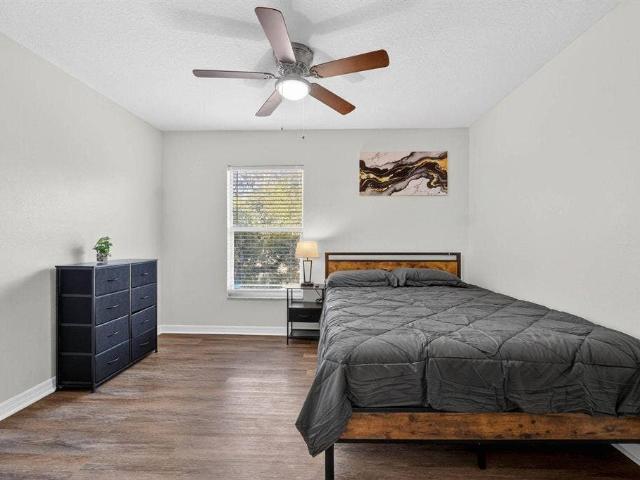 3 BR in Tampa