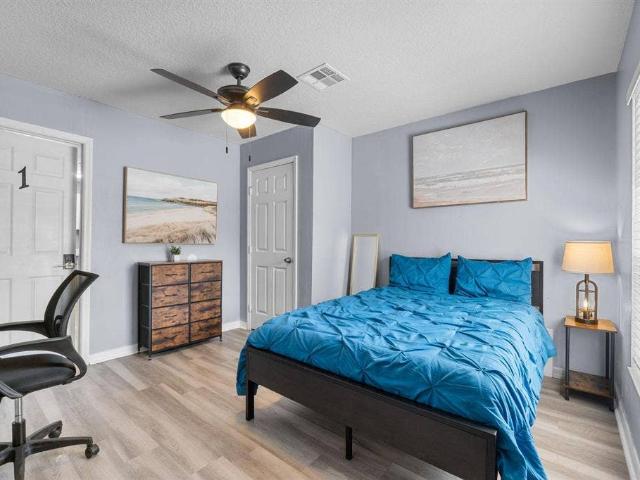 3 BR in Tampa