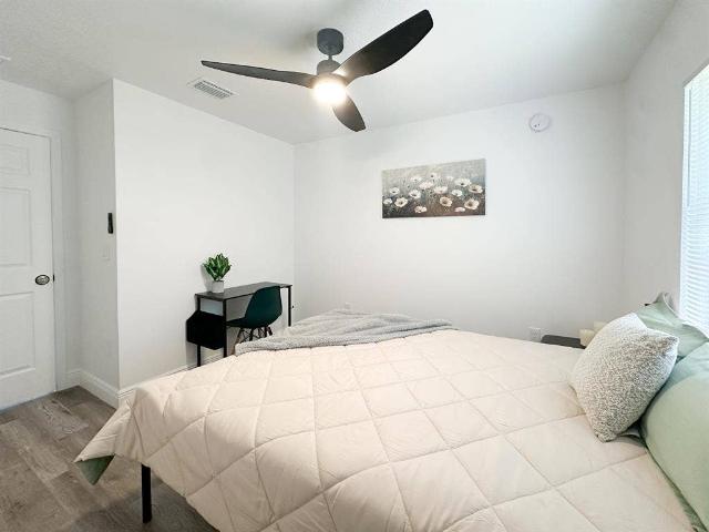 4 BR in Tampa