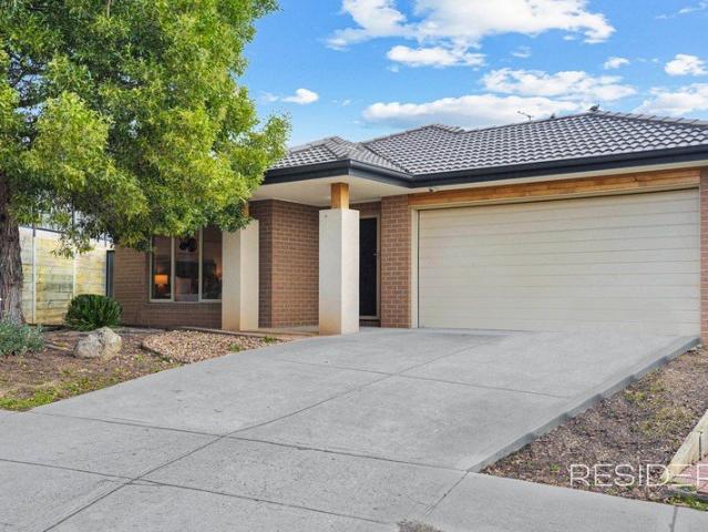 4 BR plus Study Home with Plenty of Space for a Granny Flat!