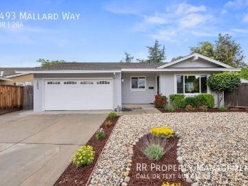 4 BR, 2 BA Apartment 1493 Mallard Way, Sunnyvale, CA 94087