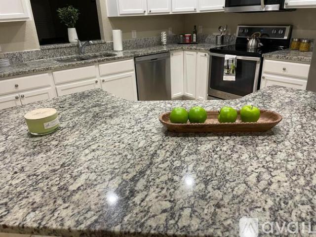 4 BR, 2 BA Apartment 1639 Saddlehorn Dr, Lakeland, FL 33810