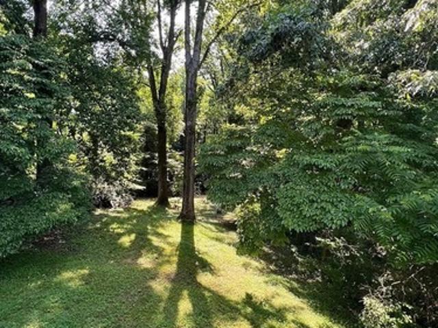 4 BR, 2 BA Apartment 302 Monte Vista Avenue, Charlottesville, VA 22903