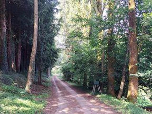 4 chambres, Bais Pays de la Loire 53160 104944680