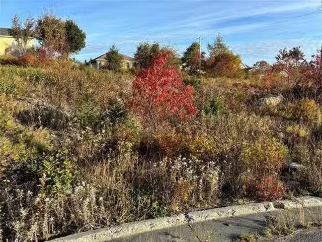 4 Chelsea Place, Bay Roberts, NL, A0A 1G0 vacant land for sa.