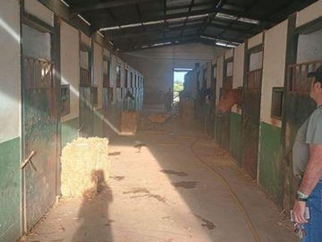 4 Dormitorio Casa Villanueva De Los Castillejos El AndÃ©valo 101457466