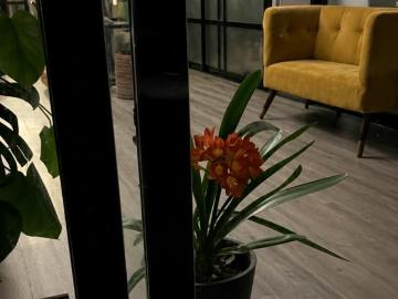 4 Dormitorio Apartamentos A Coruña A Coruña 102145383