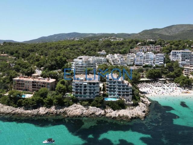 4 Dormitorio Apartamentos Illes Balears Illes Balears 102012867