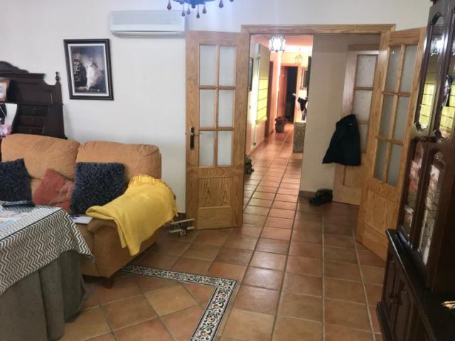 4 Dormitorio Apartamentos Torre De Miguel Sesmero Badajoz 78112988