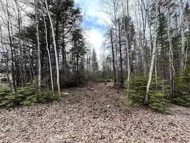 4 Evergreen Road, Victoria Beach, MB, R0E 2C0 vacant land fo.
