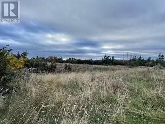 4 Gabriel Drive, Port Au Port East, NL, A0N 1T0 vacant land.