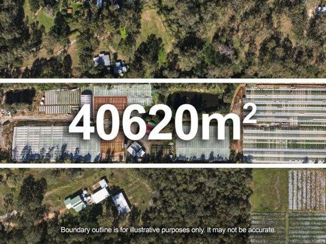 Green Fields Golden Return, 4 Hectare Turn Key Asset