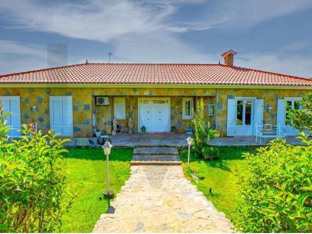 4 quarto, Tomar Tomar 106048488