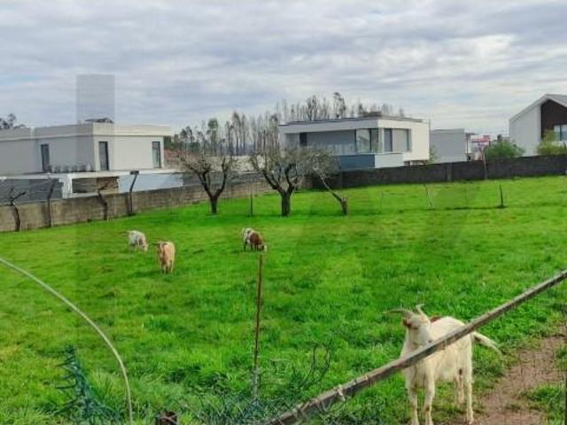 4 quarto, Albergaria Albergaria 101744768