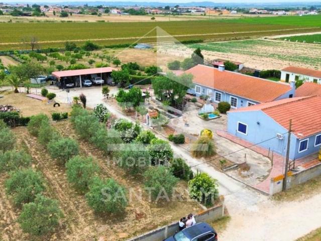 4 quarto, Alpiarça Alpiarça 103157570