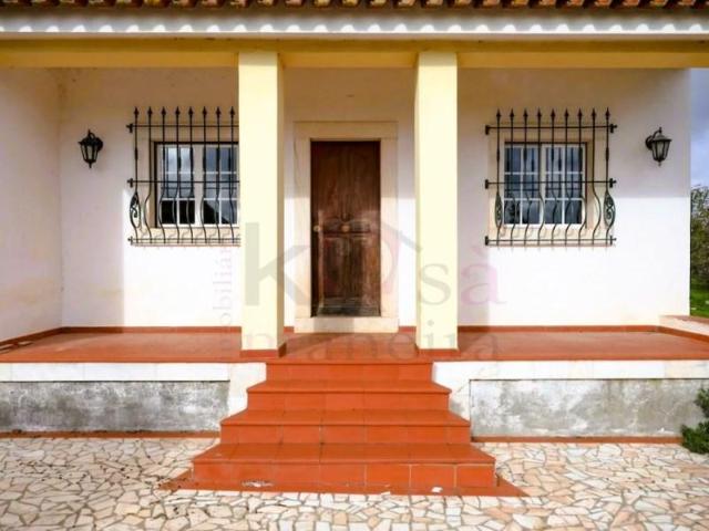 4 quarto, Borba Borba 103661787