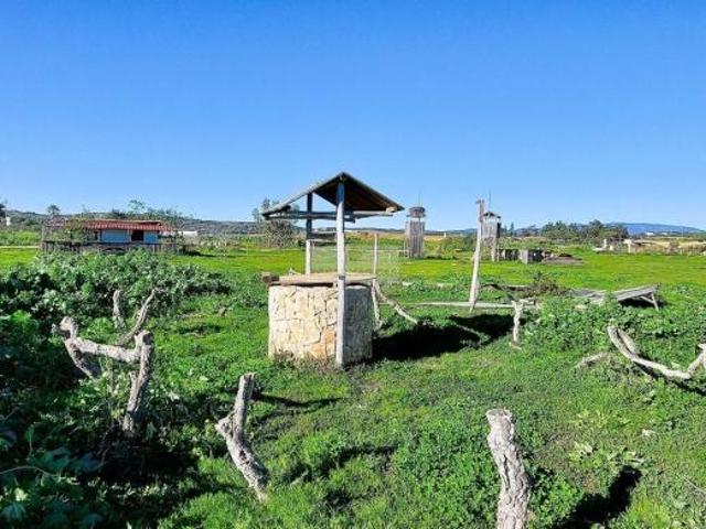 4 quarto, Faro Faro 101398514