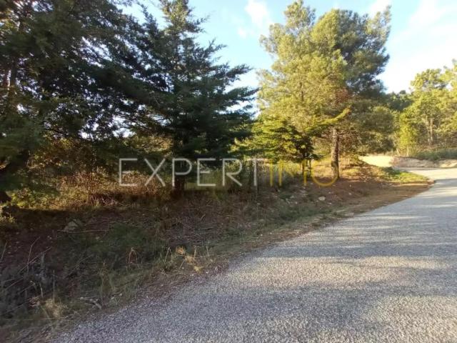 4 quarto, Guarda Guarda 91598480