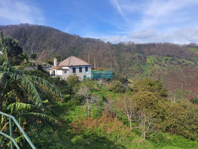 4 quarto, Porto Moniz Porto Moniz 105382797