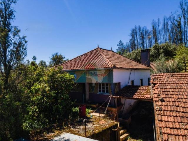 4 quarto, Santarém Tomar 2305 105581058