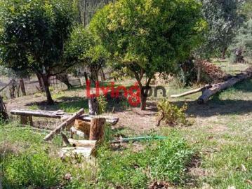 4 quarto, Santarém Tomar 2435 101089723
