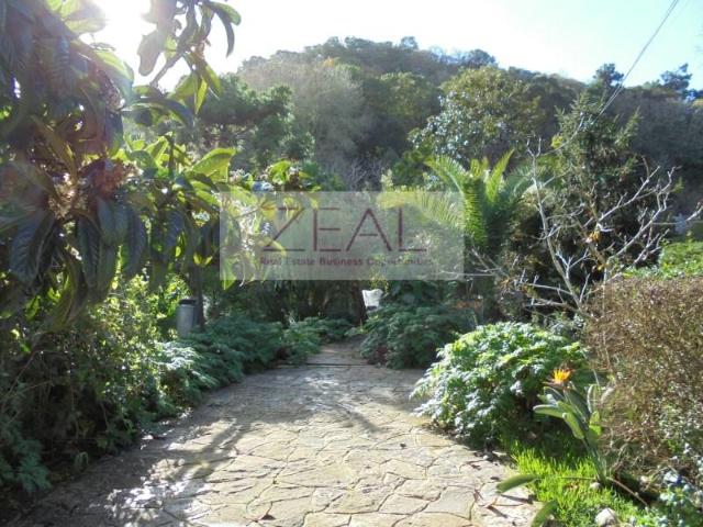 4 quarto, Sintra Sintra 104816751