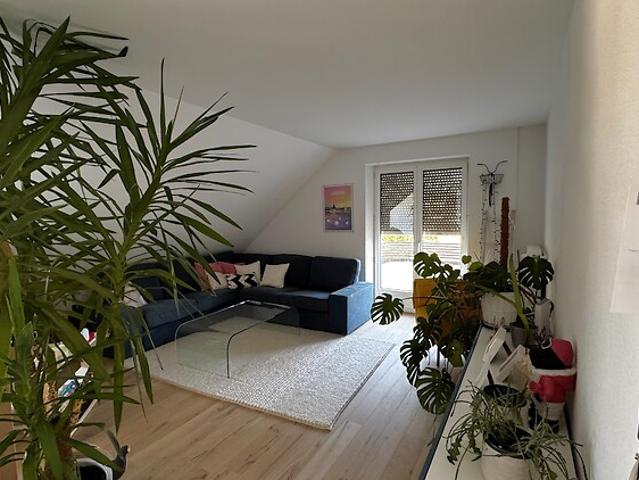 4½ room apartment in Bern, furnished, temporary